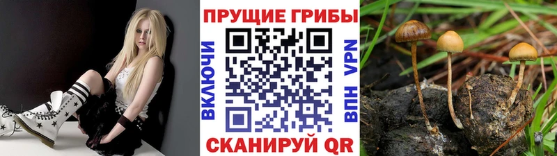 Галлюциногенные грибы Magic Shrooms Билибино