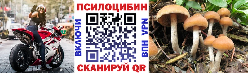цены наркотик  Билибино  Галлюциногенные грибы GOLDEN TEACHER 